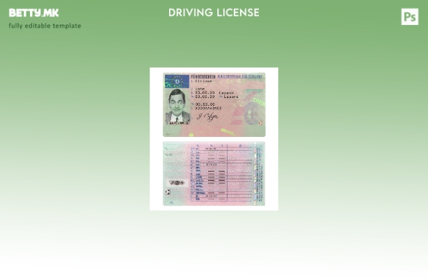 Шаблон за возачка дозвола Германија во модерен стил